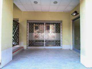 Zona
