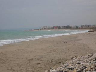 Zona