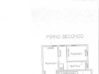 Planimetria
