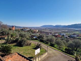 Vista