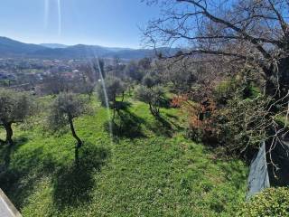Vista