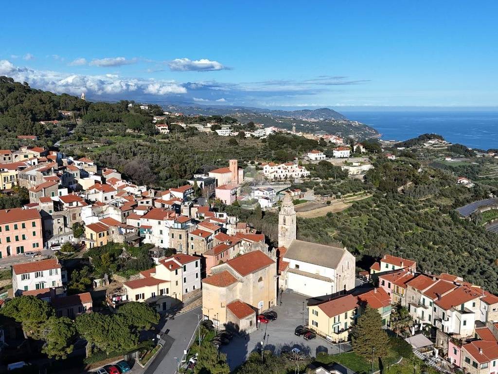 Vista