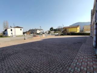 Zona