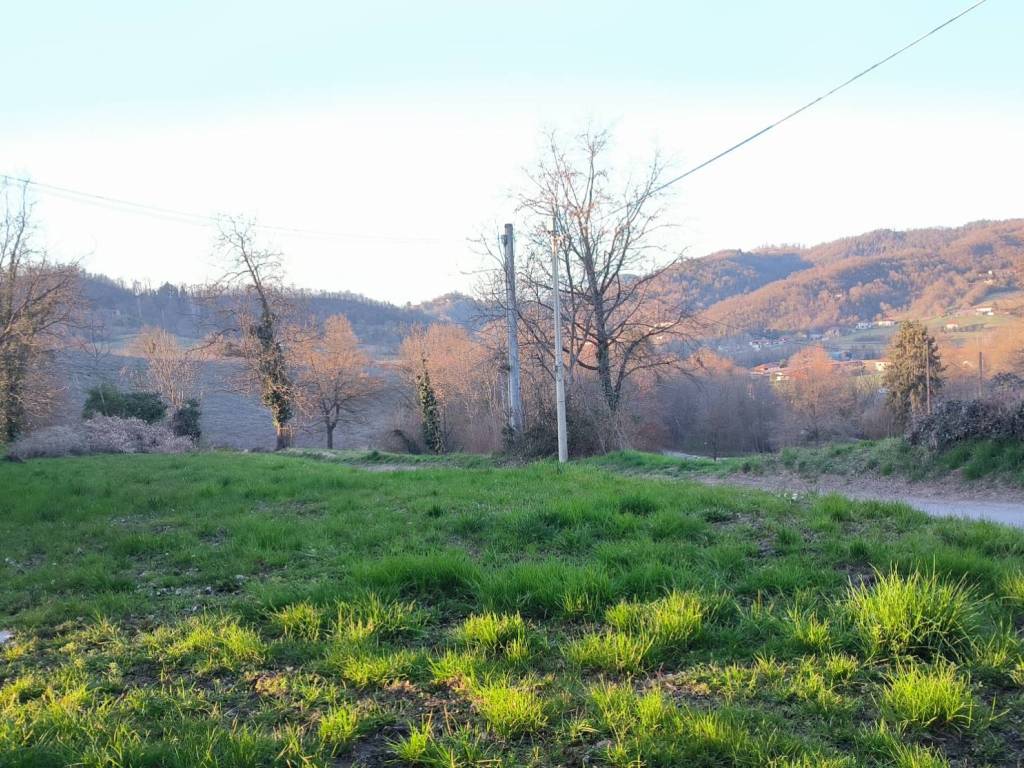 Terreno