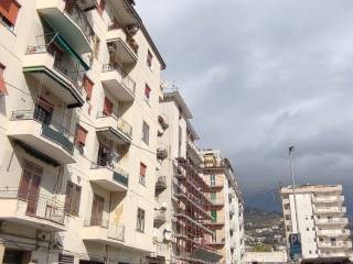 Zona