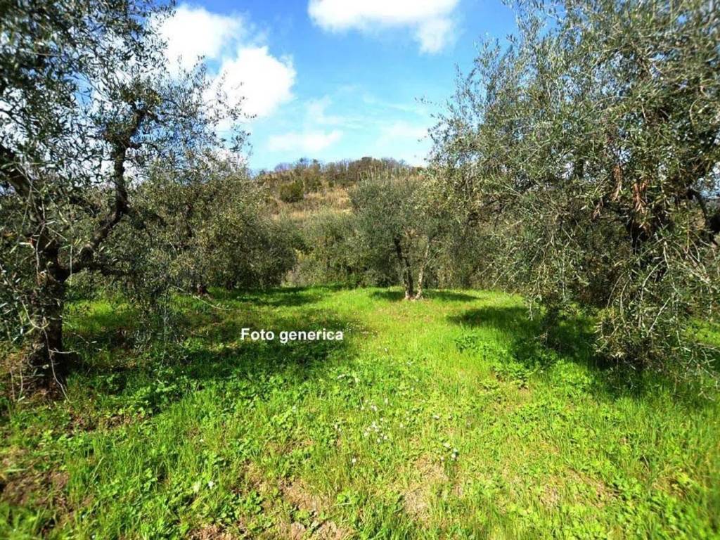 Terreno non edificabile, centro, capannoli