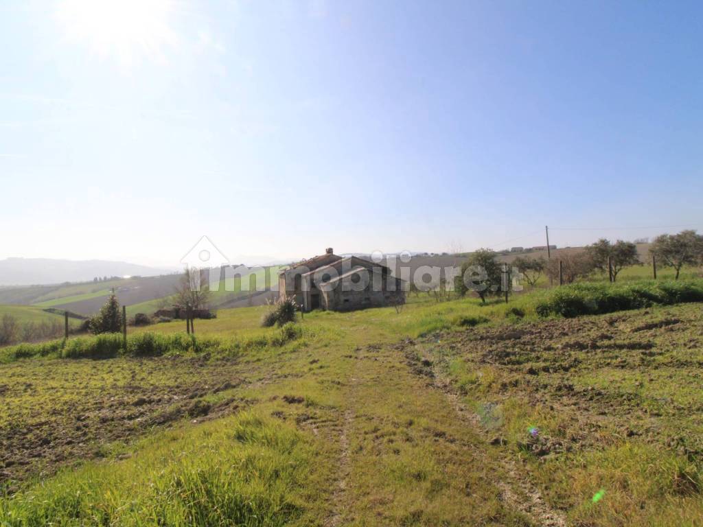 Terreno