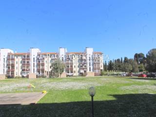 Zona