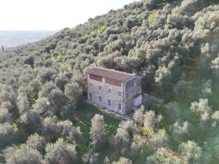 Vista