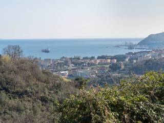Vista