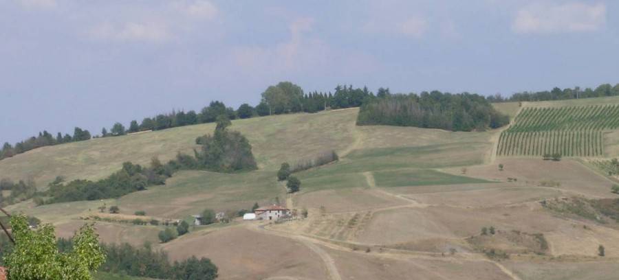 Terreno agricolo, monte san pietro