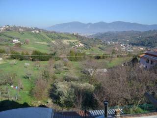 Vista
