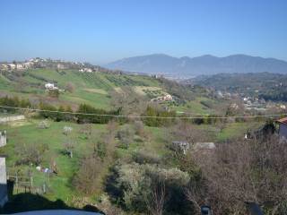 Vista