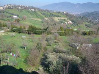 Vista