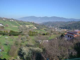 Vista