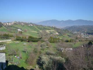 Vista