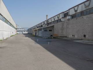 Zona