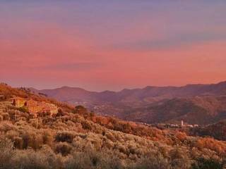 Vista
