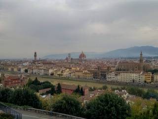Vista