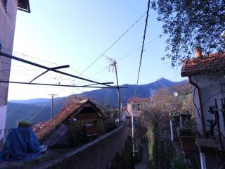 Vista