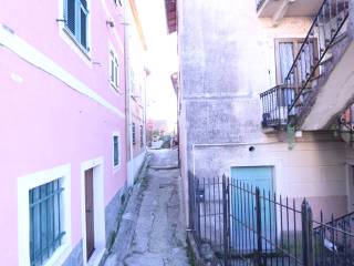 Zona