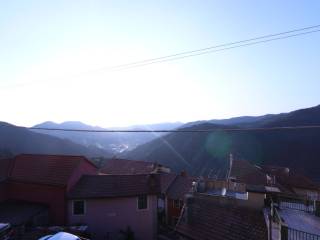 Vista