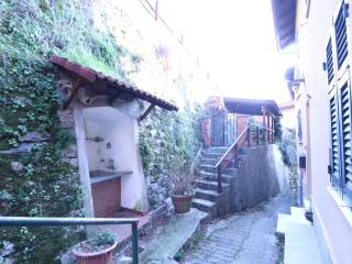 Zona