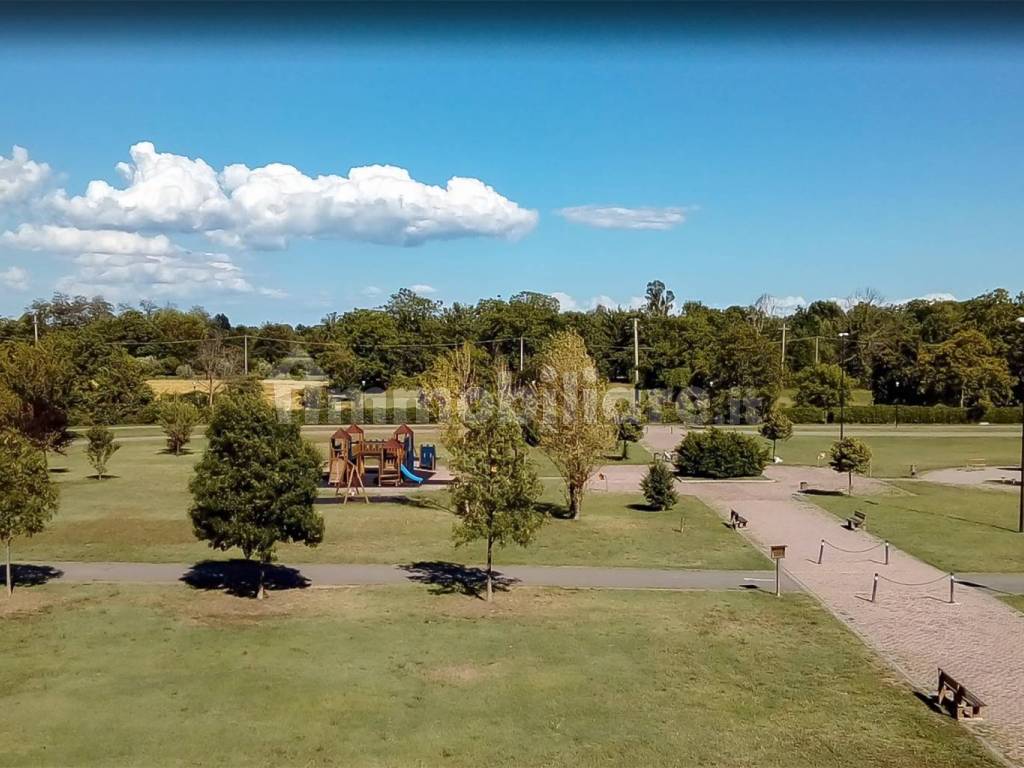 Vista