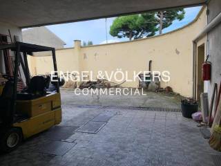 Ingresso