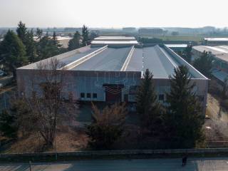 Vista