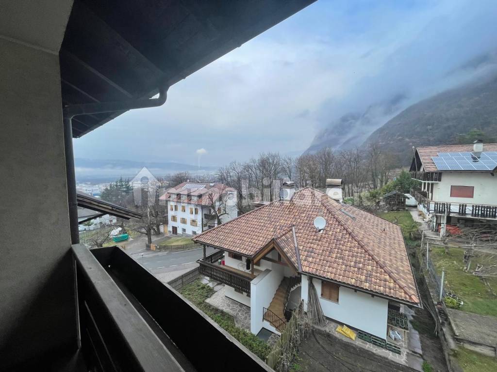 Vista