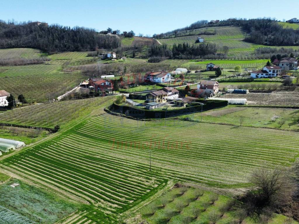 Vista