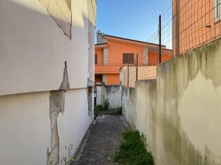 Zona