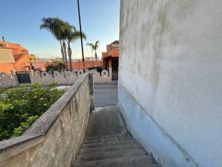 Zona