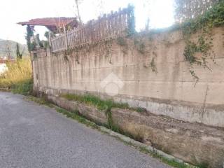 Zona