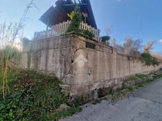 Zona