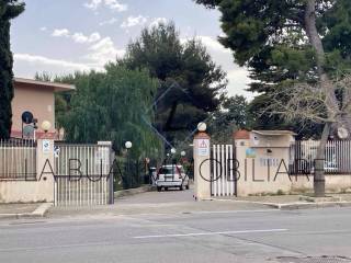 Zona