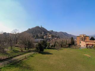 Vista
