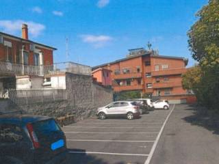 Zona