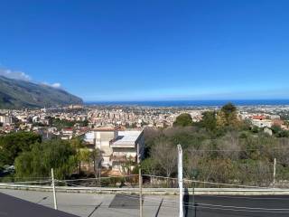 Vista