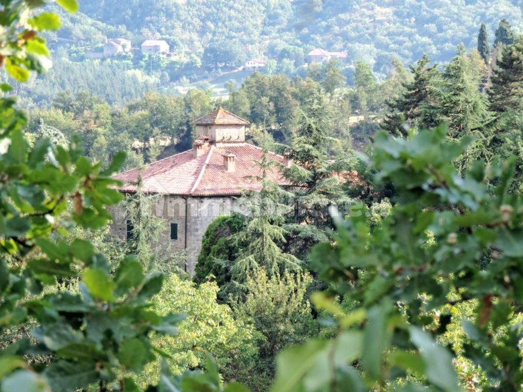 Vista