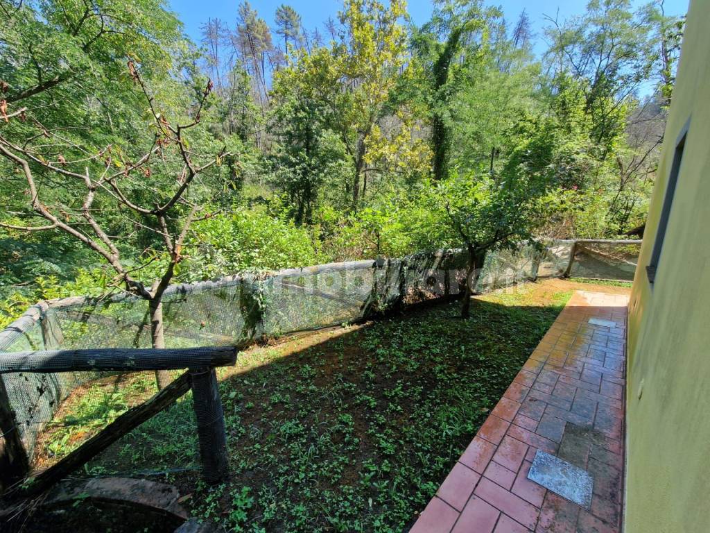 Giardino