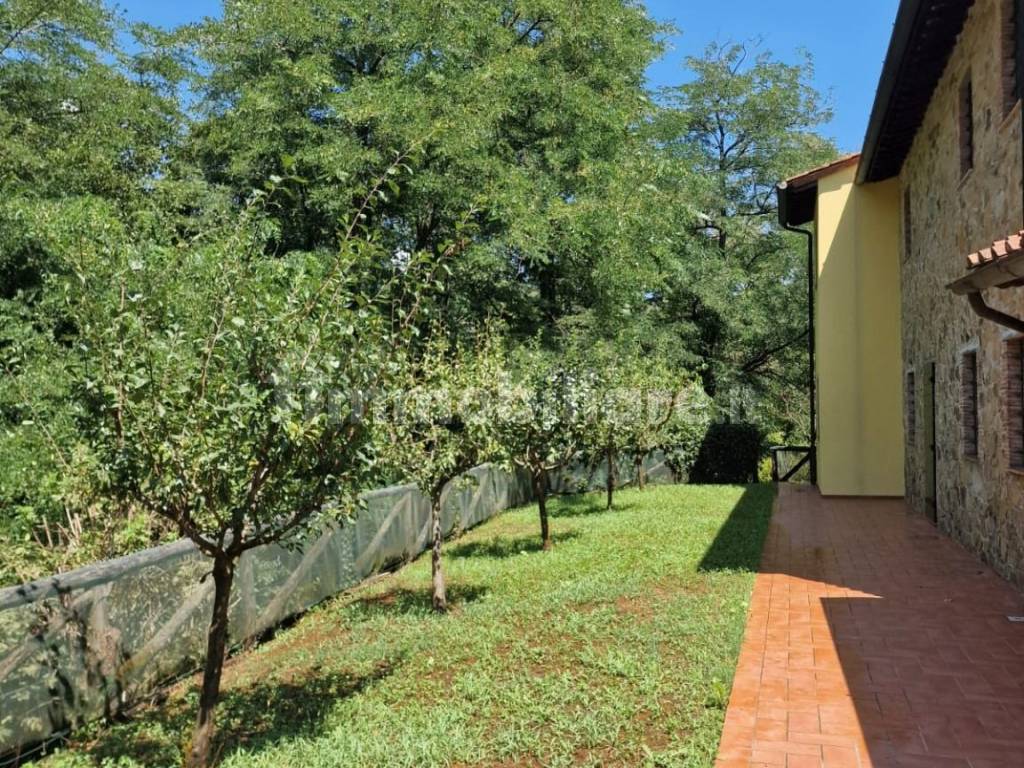 Giardino