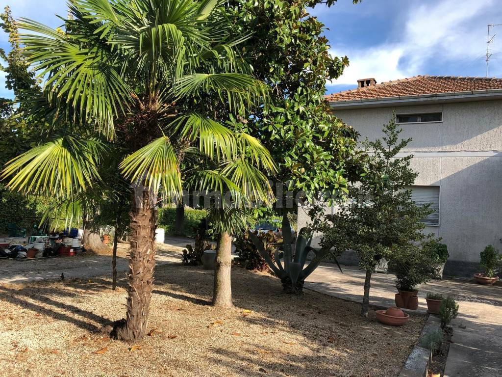 Giardino