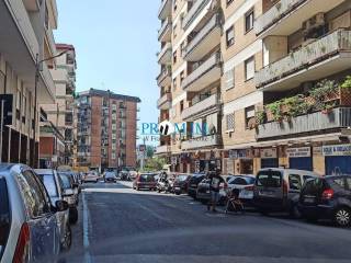 Zona