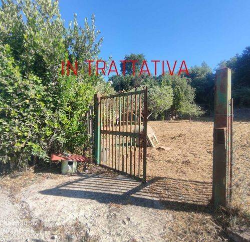 Terreno agricolo via dei cigni, fossignano, aprilia