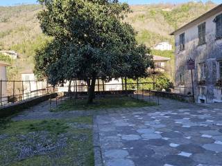 Zona