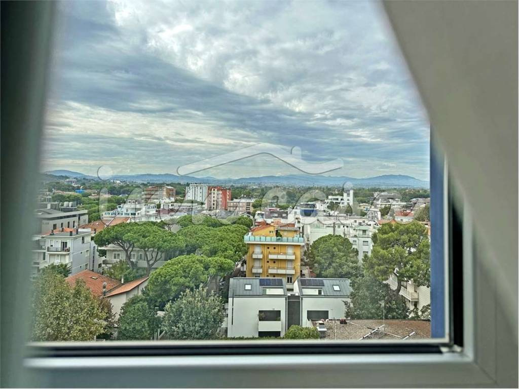 Vista