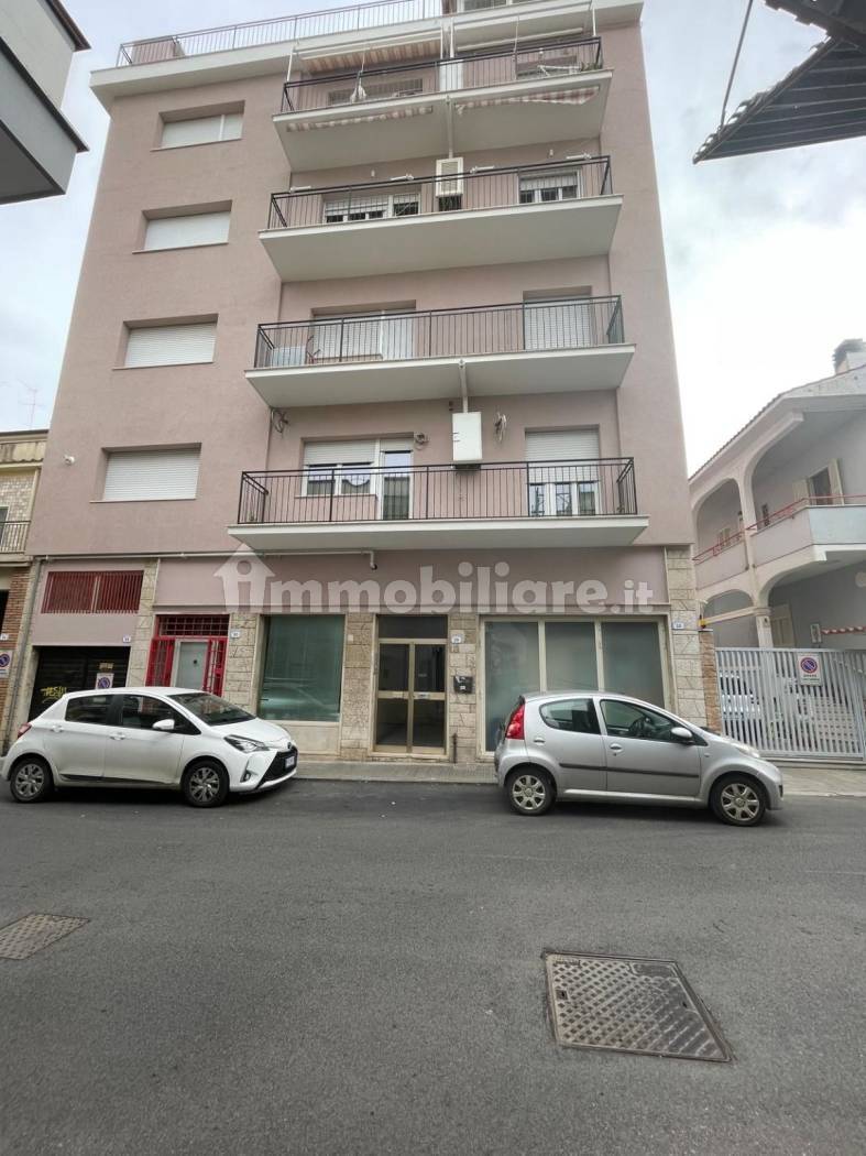 Appartamento in affitto a Nettuno