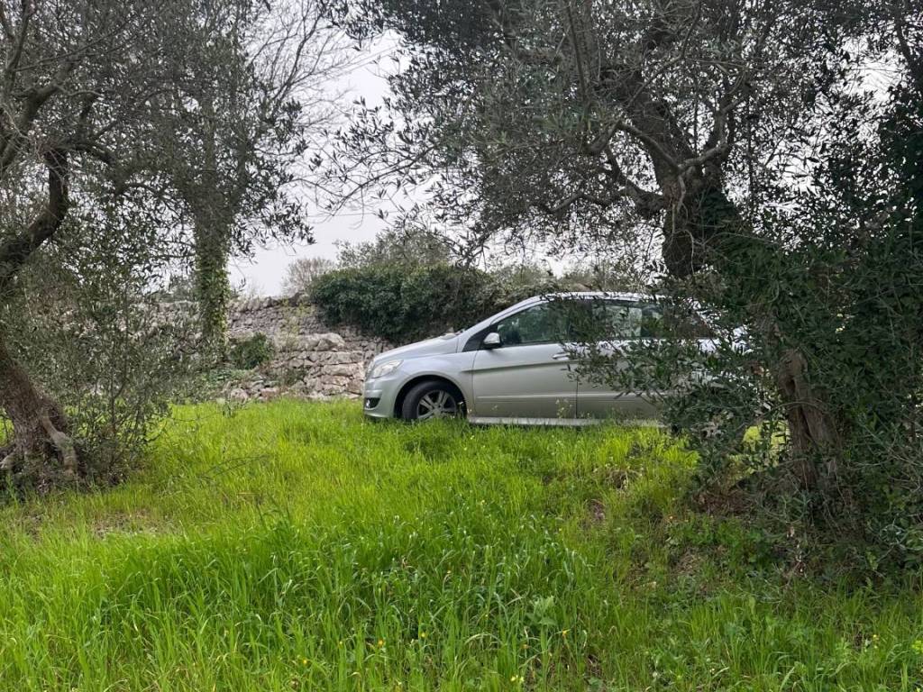 Terreno agricolo contrada santa lucia 150, monopoli